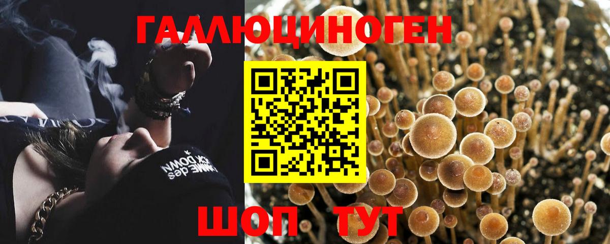 Галлюциногенные грибы мухоморы  Вход с VPN  Малгобек  Галлюциногенные грибы мухоморы 